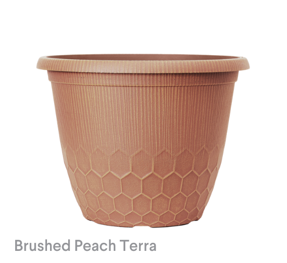 image of Silver Rim Copper planter